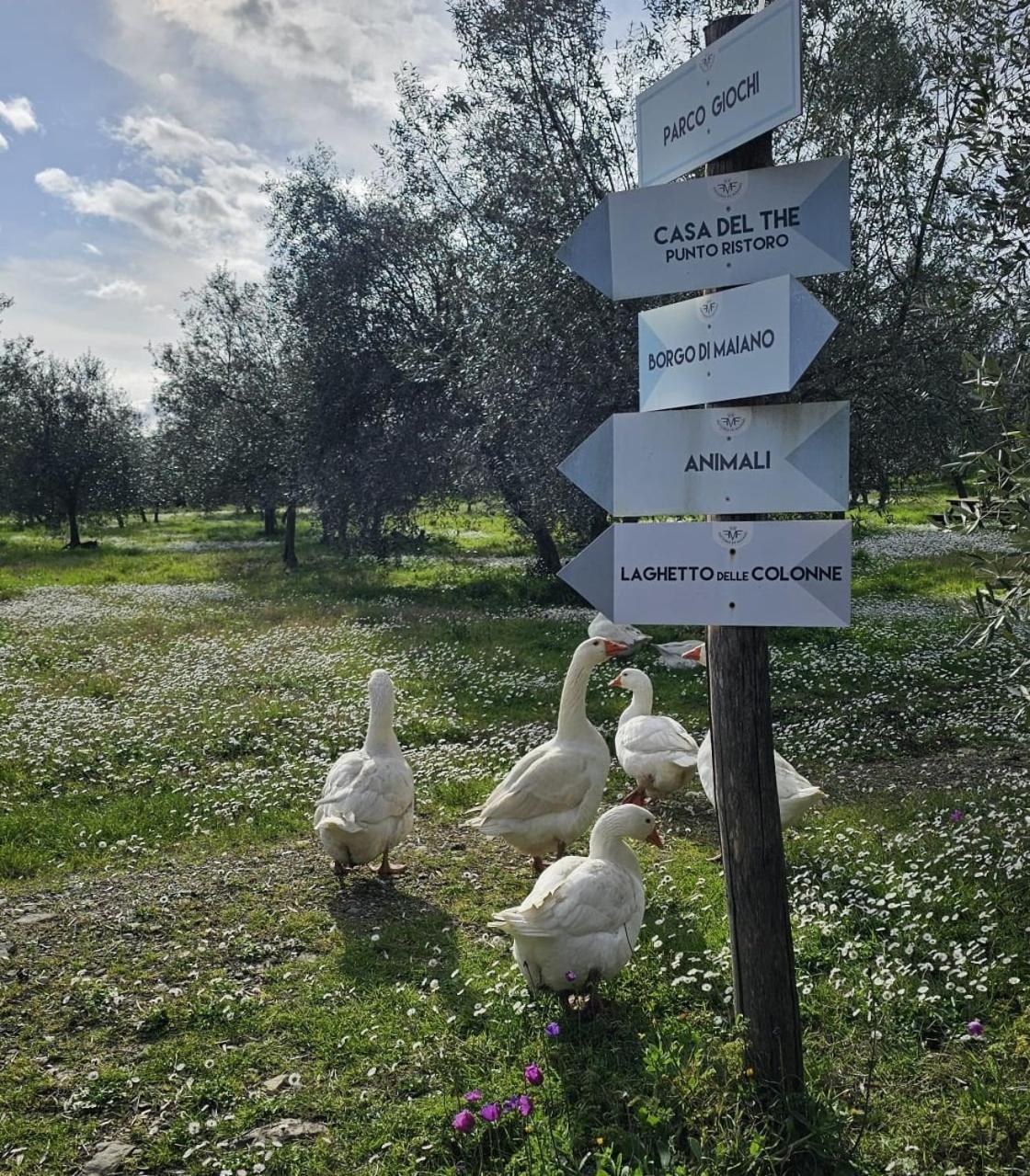 Agriturismo Fattoria Di Maiano Fiesole Bagian luar foto