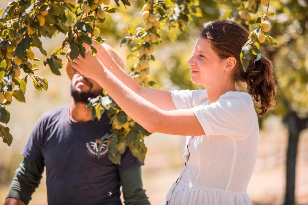 Agriturismo Fattoria Di Maiano Fiesole Bagian luar foto